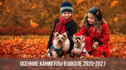 Осенние каникулы в школе в 2020-2021 учебном году