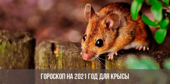 Гороскоп на 2021 год для Крысы