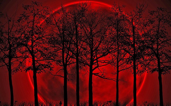 красная луна среди деревьев