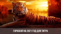 Гороскоп для тигров на 2021 год