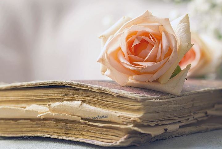 Старинная книга и роза