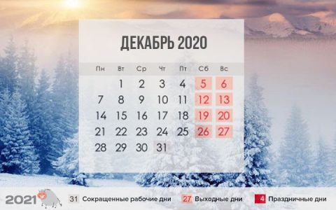 Когда в январе 2021 можно стричь волосы по оракулу в